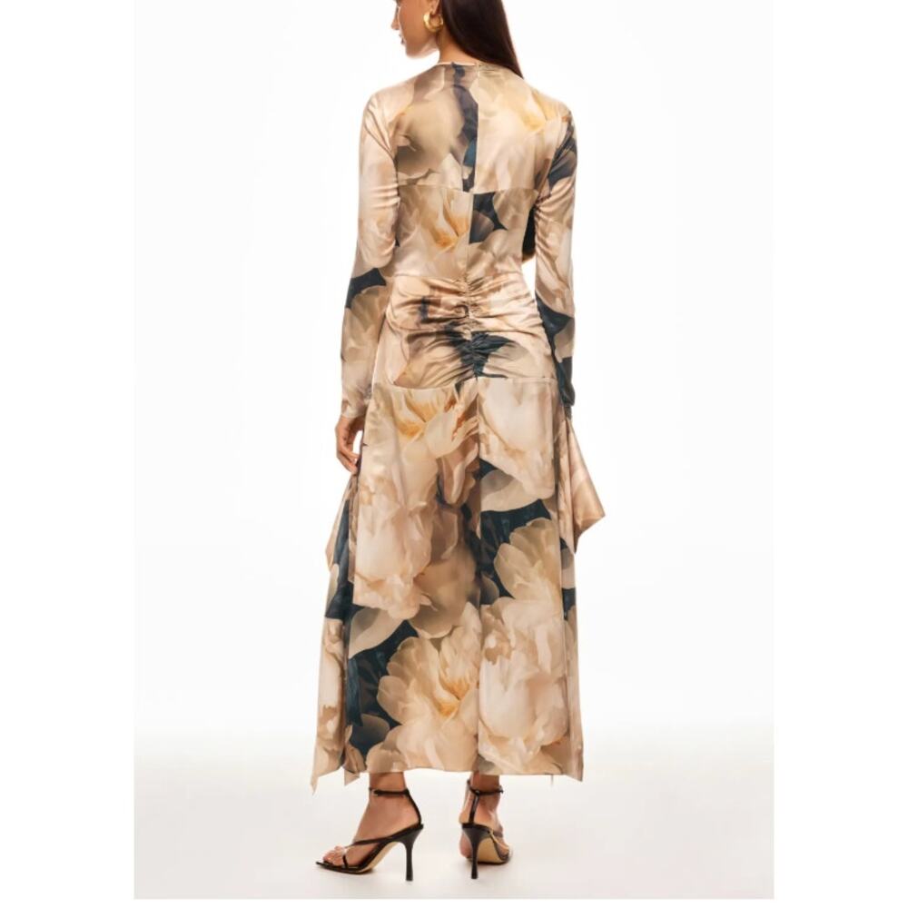 AKNVAS Beige Bold Floral Mesh Gown SIZE 4 Ruched Maxi Dress Party Designer $900 - Picture 4 of 13